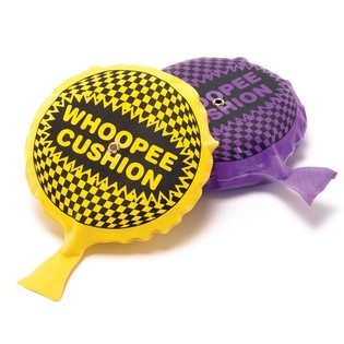 Gros Coussin Péteur 19 CM (12 pièces)