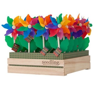 SEEDLING - MOULINS À VENT EN PRÉSENTOIR (20 pcs)