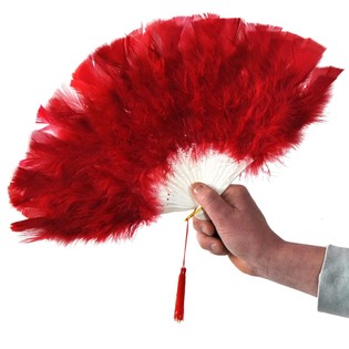 &Eacute;VENTAIL EN PELUCHE (12 pi&egrave;ces)