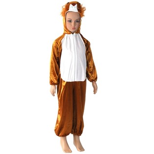 Déguisement de Lion pour Enfants – Taille 6