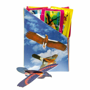 Avions d'oiseaux en mousse en présentoir (48 pcs)