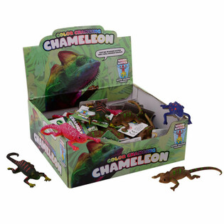 Présentoir Caméléons Changeant de Couleur (48 pcs)